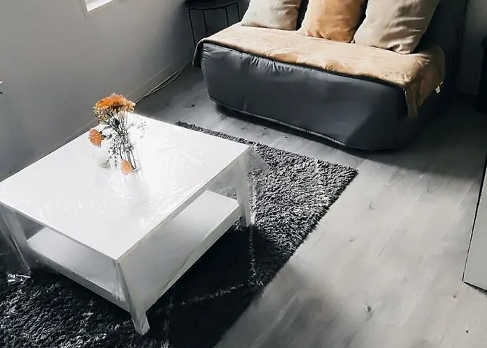 Appartement Deux Pièces Centre Cantimpré3